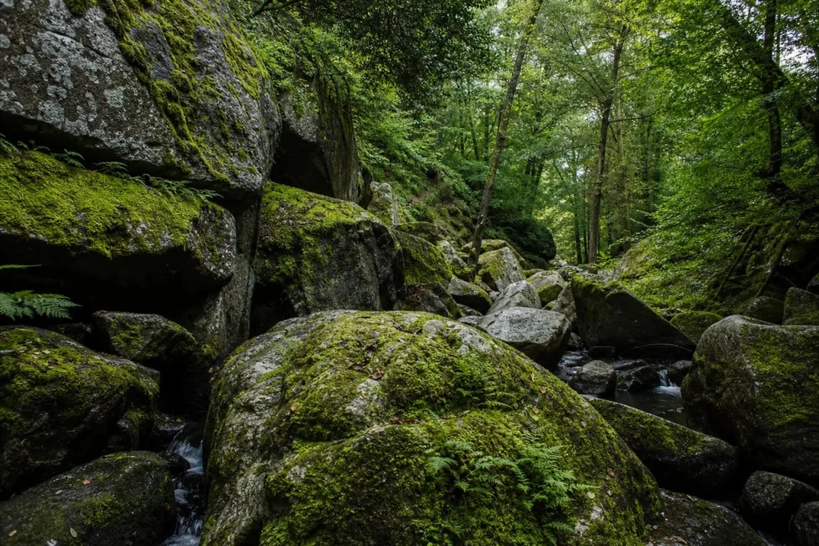 Les gorges de Toul Goulic, chaos rocheux granitique et vallée boisée en Bretagne