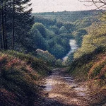 berné morbihan, sentier vers la vallée du Scorff et forêt de Pontcallec