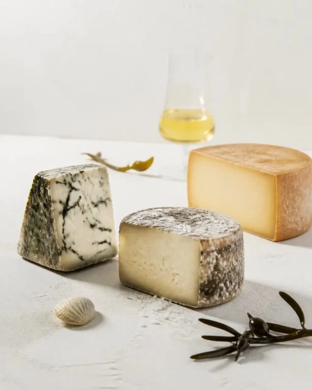 Fromage breton atypique avec fromages aux algues, à l’eau de mer et au cidre