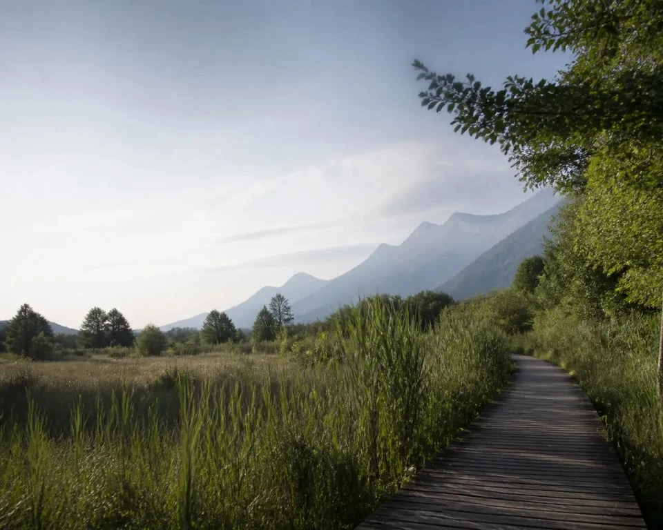 Espace naturel sensible du marais de Montfort à Crolles, sentier de découverte au cœur du marais tourbeux