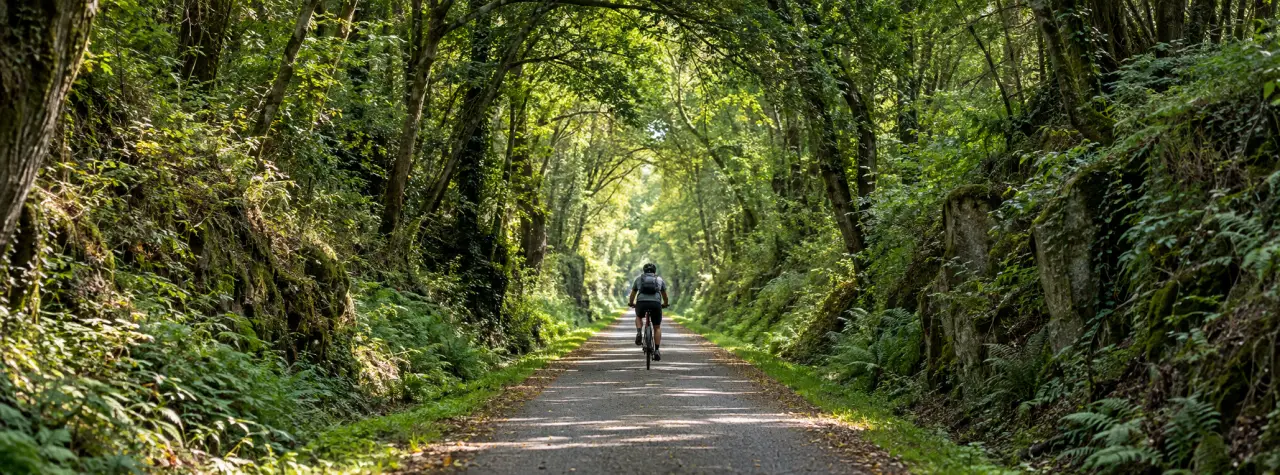 Découvrir le Morbihan intérieur à vélo sur une voie verte forestière entre Questembert et Mauron